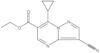 Ethyl 3-cyano-7-cyclopropylpyrazolo[1,5-a]pyrimidine-6-carboxylate