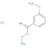 Benzenecarboximidic acid, 3-methoxy-, ethyl ester, hydrochloride (1:1)