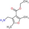 ethyl 4-(aminomethyl)-2,5-dimethylfuran-3-carboxylate