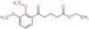 ethyl 5-(2,3-dimethoxyphenyl)-5-oxo-pentanoate