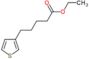 ethyl 5-(3-thienyl)pentanoate