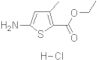 5-Amino-3-methyl-2-thiophenecarboxylic acid ethyl ester hydrochloride