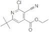 ethyl 6-(tert-butyl)-2-chloro-3-cyanoisonicotinate