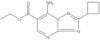 Ethyl 7-amino-2-cyclobutyl[1,2,4]triazolo[1,5-a]pyrimidine-6-carboxylate