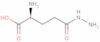 L-Glutamic acid, 5-hydrazide