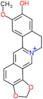 9-hydroxy-8-methoxy-11,12-dihydro[1,3]dioxolo[4,5-h]isoquino[2,1-b]isoquinolin-13-ium
