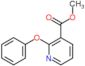 methyl 2-phenoxypyridine-3-carboxylate