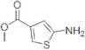 3-Thiophenecarboxylicacid,5-amino-,methylester(9CI)