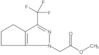 Methyl 5,6-dihydro-3-(trifluoromethyl)-1(4H)-cyclopentapyrazoleacetate