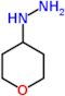 tetrahydro-2H-pyran-4-ylhydrazine