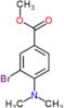 methyl 3-bromo-4-(dimethylamino)benzoate