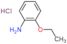 Phenetidinehydrochloride; 98%