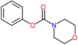 phenyl morpholine-4-carboxylate