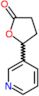 5-pyridin-3-yldihydrofuran-2(3H)-one
