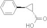 trans-2-Phenylcyclopropanecarboxylic acid