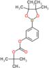 1,1-Dimethylethyl 3-(4,4,5,5-tetramethyl-1,3,2-dioxaborolan-2-yl)phenyl carbonate