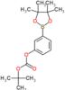 tert-butyl 3-(4,4,5,5-tetramethyl-1,3,2-dioxaborolan-2-yl)phenyl carbonate