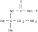 Carbamic acid,N-(2-amino-1,1-dimethylethyl)-, 1,1-dimethylethyl ester