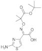 (αZ)-2-Amino-α-[[2-(1,1-dimethylethoxy)-1,1-dimethyl-2-oxoethoxy]imino]-4-thiazoleacetic acid