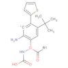 Carbamic acid, [2-amino-4-(2-thienyl)phenyl]-, 1,1-dimethylethyl ester