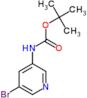 tert-butyl (5-bromopyridin-3-yl)carbamate