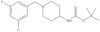 Carbamic acid, [1-[(3,5-difluorophenyl)methyl]-4-piperidinyl]-, 1,1-dimethylethyl ester