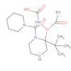 Carbamic acid, [1-(1-piperidinylcarbonyl)-4-piperidinyl]-,1,1-dimethylethyl ester