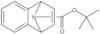 1,1-Dimethylethyl 1,4-dihydronaphthalen-1,4-imine-9-carboxylate