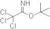 tert-Butyl 2,2,2-trichloroacetimidate