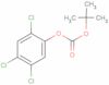 Carbonic acid, 1,1-dimethylethyl 2,4,5-trichlorophenyl ester