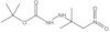 1,1-Dimethylethyl 2-(1,1-dimethyl-2-nitroethyl)hydrazinecarboxylate