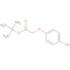 Acetic acid, (4-hydroxyphenoxy)-, 1,1-dimethylethyl ester