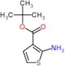 tert-butyl 2-aminothiophene-3-carboxylate