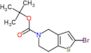 tert-butyl 2-bromo-6,7-dihydrothieno[3,2-c]pyridine-5(4H)-carboxylate