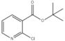 2-cloronicotinato de terc-butilo