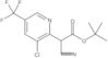 1,1-Dimethylethyl 3-chloro-α-cyano-5-(trifluoromethyl)-2-pyridineacetate