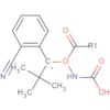 Carbamic acid, [(2-cyanophenyl)methyl]-, 1,1-dimethylethyl ester