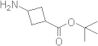3-Aminocyclobutanecarboxylic acid tert-butyl ester