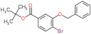 tert-butyl 3-benzyloxy-4-bromo-benzoate