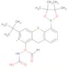 Carbamic acid,[5-(4,4,5,5-tetramethyl-1,3,2-dioxaborolan-2-yl)-9H-thioxanthen-2-yl]-,1,1-dimethy...