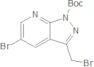 1H-Pyrazolo[3,4-b]pyridine-1-carboxylic acid, 5-broMo-3-(broMoMethyl)-, 1,1-diMethylethyl ester