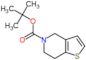 tert-butyl 6,7-dihydrothieno[3,2-c]pyridine-5(4H)-carboxylate