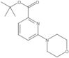 1,1-Dimethylethyl 6-(4-morpholinyl)-2-pyridinecarboxylate