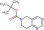 tert-butyl 7,8-dihydropyrido[4,3-d]pyrimidine-6(5H)-carboxylate