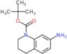 tert-Butyl 7-amino-3,4-dihydroquinoline-1(2H)-carboxylate