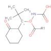 Carbamic acid, [(2-oxocyclohexyl)methyl]-, 1,1-dimethylethyl ester