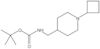 1,1-Dimethylethyl N-[(1-cyclobutyl-4-piperidinyl)methyl]carbamate