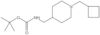 1,1-Dimethylethyl N-[[1-(cyclobutylmethyl)-4-piperidinyl]methyl]carbamate