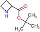 tert-butyl azetidine-2-carboxylate