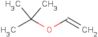 2-(Ethenyloxy)-2-methylpropane